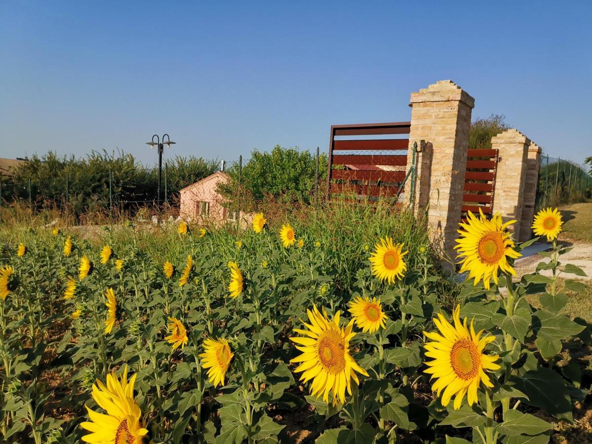 B&B Ceresa - Country House Loreto Exterior photo