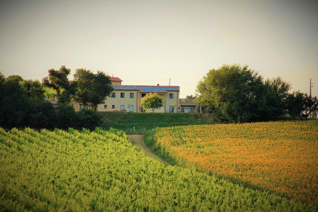 B&B Ceresa - Country House Loreto Exterior photo